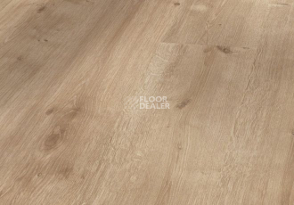 Ламинат Parador Basic Plus 200 V 1593997 Дуб Шлифованный фото 1 | FLOORDEALER