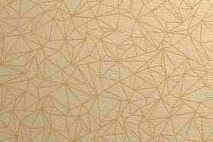 Линолеум Gerflor Taralay Initial Compact (Plain & allover look) 0954 Spider Dore фото  | FLOORDEALER