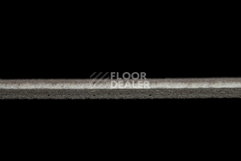 Vertigo Toronto 1757 230 фото 3 | FLOORDEALER
