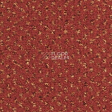 Ковролин Balsan Signature Confort + 567 фото 1 | FLOORDEALER