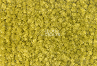 Balsan Bolero 230 фото 2 | FLOORDEALER