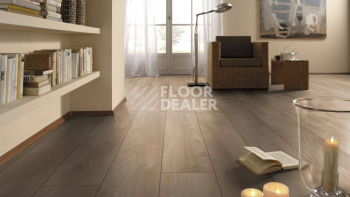 My Floor Residence 10мм ML1012 Дуб Макро Светлый фото 7 | FLOORDEALER
