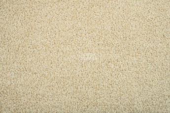 Standard Carpets Mountain View 4393 фото 2 | FLOORDEALER