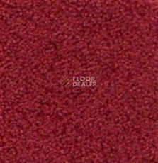 Ковролин Infloor Cashmere 160 фото 1 | FLOORDEALER