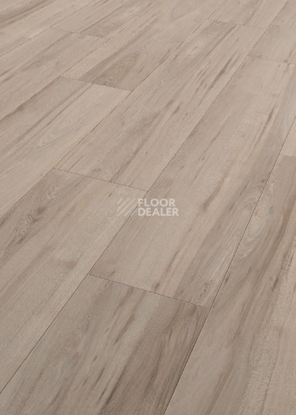 Ламинат Terhurne Trend Line 243мм 1909 Вяз Кафе-бар 1101020894 фото 1 | FLOORDEALER