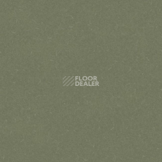 Линолеум Grabo Silver Knight Acoustic 7 455_864-7801 фото 1 | FLOORDEALER