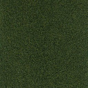 Ковролин FINETT Sport 6419  | FLOORDEALER