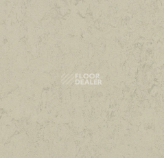 Линолеум Forbo Marmoleum Solid Concrete 3757 Pluto фото 1 | FLOORDEALER