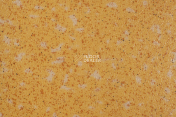 Линолеум Tarkett Acczent Pro Aspect 7 фото 1 | FLOORDEALER