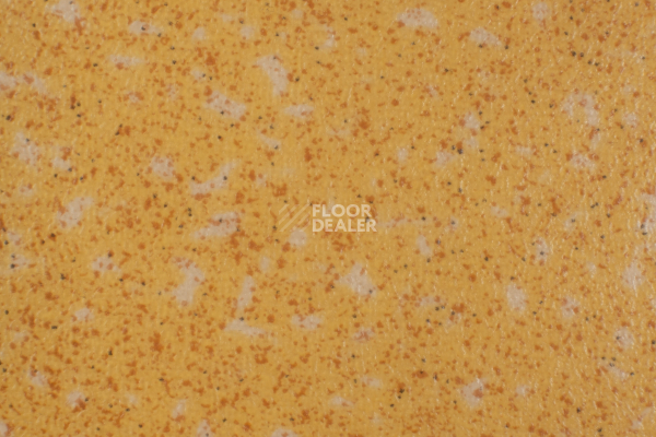 Линолеум Tarkett Acczent Pro Aspect 7 фото 1 | FLOORDEALER