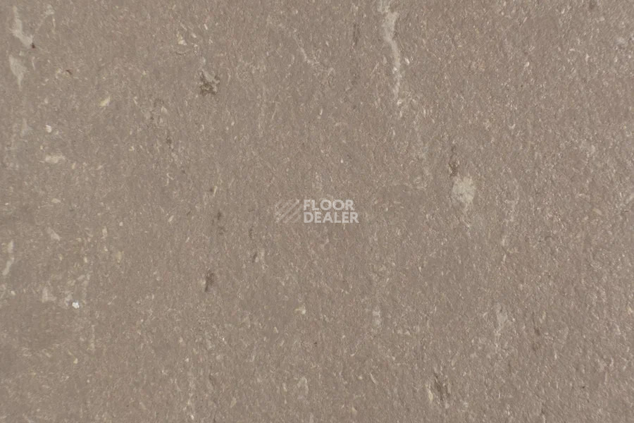 Forbo Marmoleum Solid Piano 3631-363135 otter фото 2 | FLOORDEALER