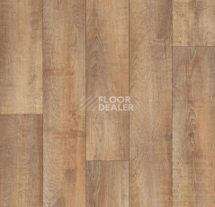 Линолеум Forbo Eternal Original 10562 real oak фото 1 | FLOORDEALER
