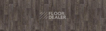 Линолеум Tarkett Delta OSTIN5M фото 1 | FLOORDEALER