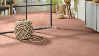 Vorwerk Superior 1065/Viola Vorwerk 8h49 фото 2 | FLOORDEALER