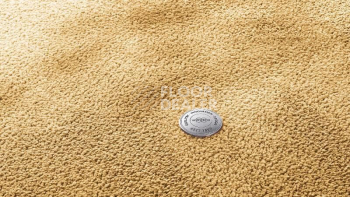 Ковролин Vorwerk Superior 1067 Mira Vorwerk 2f39 фото 1 | FLOORDEALER