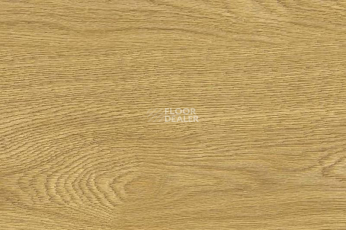Пробковое покрытие Wood Xl замковое Oak Deluxe фото 1 | FLOORDEALER