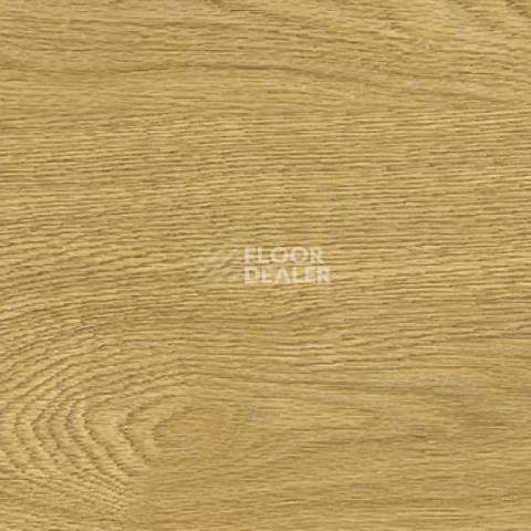 Пробковое покрытие Wood Xl замковое Oak Deluxe фото 1 | FLOORDEALER