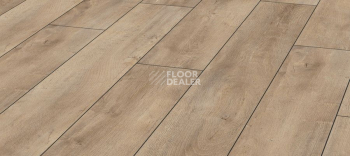 Ламинат Kronotex Exquisit 8мм d4982 Дуб Восточный Бежевый фото 1 | FLOORDEALER