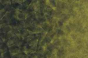 Ковролин Forbo Flotex by Starck Artist 324012 Artist Emerald / Chartreuse b4 фото  | FLOORDEALER