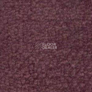 Ковролин Shaw Bradberry 30 481 фото 1 | FLOORDEALER
