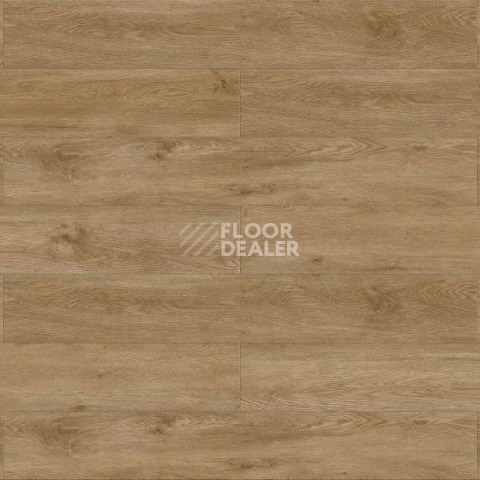 Evofloor Life Click 4.2мм Дуб Флорес фото 3 | FLOORDEALER
