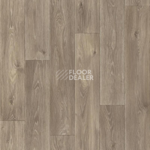 Линолеум Tarkett Комфорт Spenser 5 фото 1 | FLOORDEALER