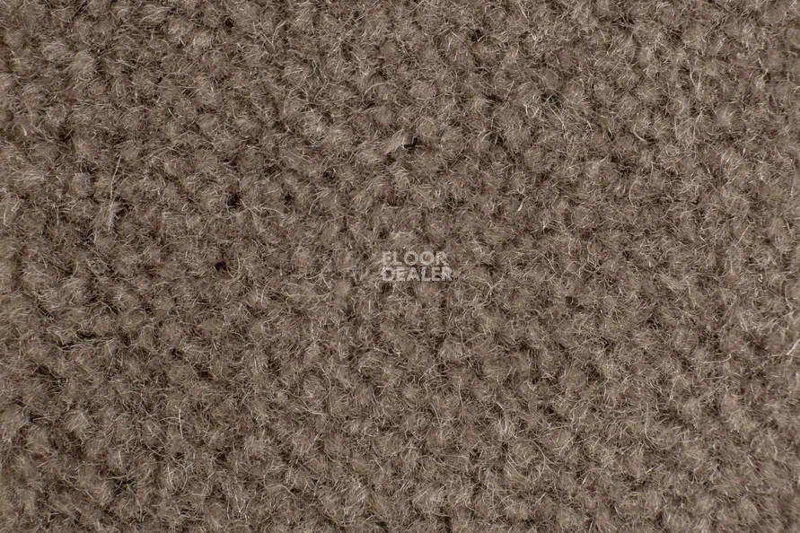 Balsan Majestic 785 фото 2 | FLOORDEALER