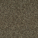 Ковровая плитка Desso Flavia Desso Flavia 2931  | FLOORDEALER