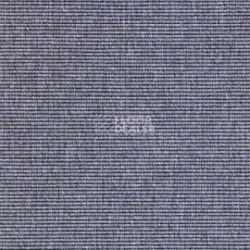 Ковролин Carpet Concept Eco 1 6642 фото 1 | FLOORDEALER