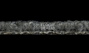 Desso Grain 9501 фото 4 | FLOORDEALER