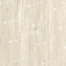 Кварцвиниловые полы Alpine Floor Sequoia (SPC) Секвойя Серая ЕСО 6-5 SPC фото 1 | FLOORDEALER