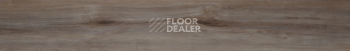 Evofloor Optima Click 4.2мм Груша Карамель фото 2 | FLOORDEALER