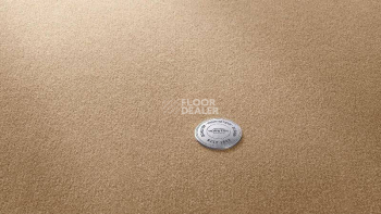 Ковролин Vorwerk Superior 1063 Vorwerk 8k14 фото 1 | FLOORDEALER