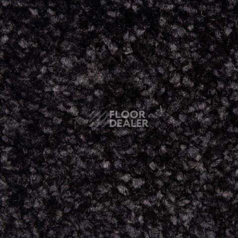 Balsan Sweet Dreams 995 фото 2 | FLOORDEALER