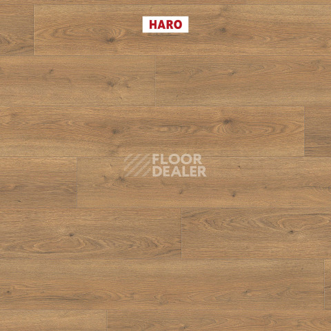 Haro Tritty 200 Aqua 4V Дуб Флавия Натур 544766 фото 2 | FLOORDEALER