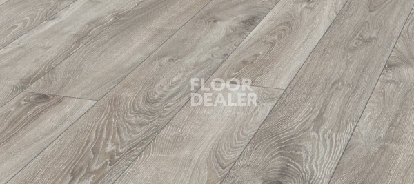 Ламинат Kronotex Mammut d4797 Дуб Горный Серебристый фото 1 | FLOORDEALER