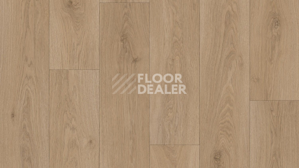 Линолеум Tarkett Sprint Pro Parade 2 фото 1 | FLOORDEALER