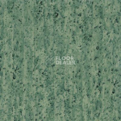 Линолеум Novoflor Extra Optimal 3216-11 фото 1 | FLOORDEALER