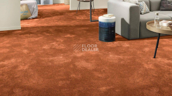 Vorwerk Superior 1064/Lyrica Vorwerk 2f34 фото 2 | FLOORDEALER