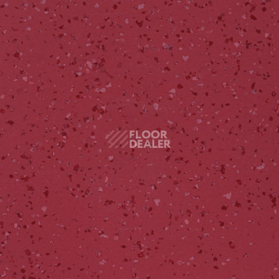 Линолеум DLV Flooring Perfect Safety 5675 фото 1 | FLOORDEALER