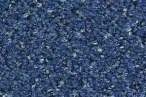 Ковролин Balsan Tango Tango 180 фото  | FLOORDEALER