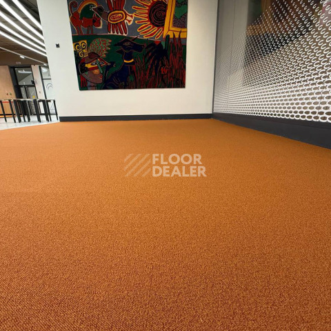 AW Maxima 85 фото 6 | FLOORDEALER