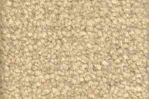 Ковролин Emphatic Beaulieu of America 56100 фото  | FLOORDEALER