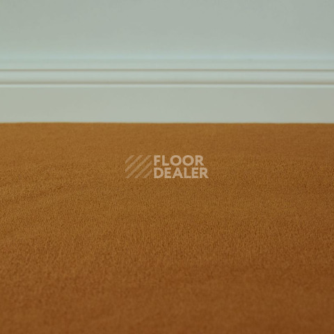 Ковролин Vorwerk Modena 7f35 фото 1 | FLOORDEALER