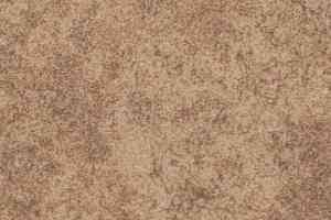 Ковровая плитка Forbo Flotex Colour Calgary 50*50 t 590007 Calgary Suede фото  | FLOORDEALER