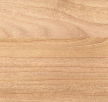 Gerflor Taraflex Surface Wood