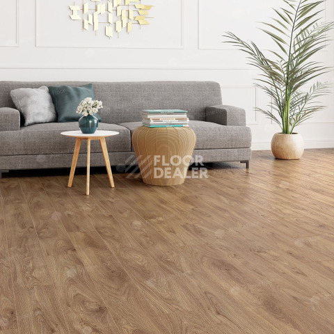 Alpine Floor Albero 10мм A1005 ДУБ ШЕРВУД фото 2 | FLOORDEALER