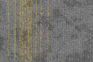 Ковровая плитка Neuflor Contours 2008-11 + Gold фото  | FLOORDEALER