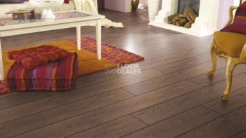 Kronotex Mammut d2999 Дуб Натуральный Столичный фото 4 | FLOORDEALER