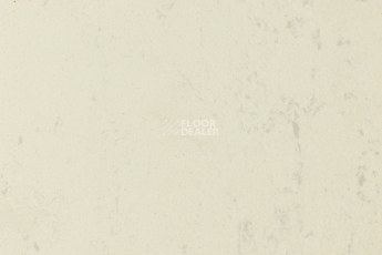 Линолеум Forbo Marmoleum Solid Concrete 3701-370135 moon фото 1 | FLOORDEALER